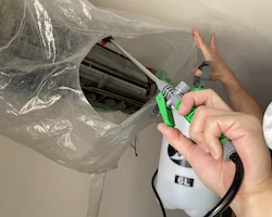 合同会社JAOのスタッフによる作業の様子：洗剤を吹き付ける